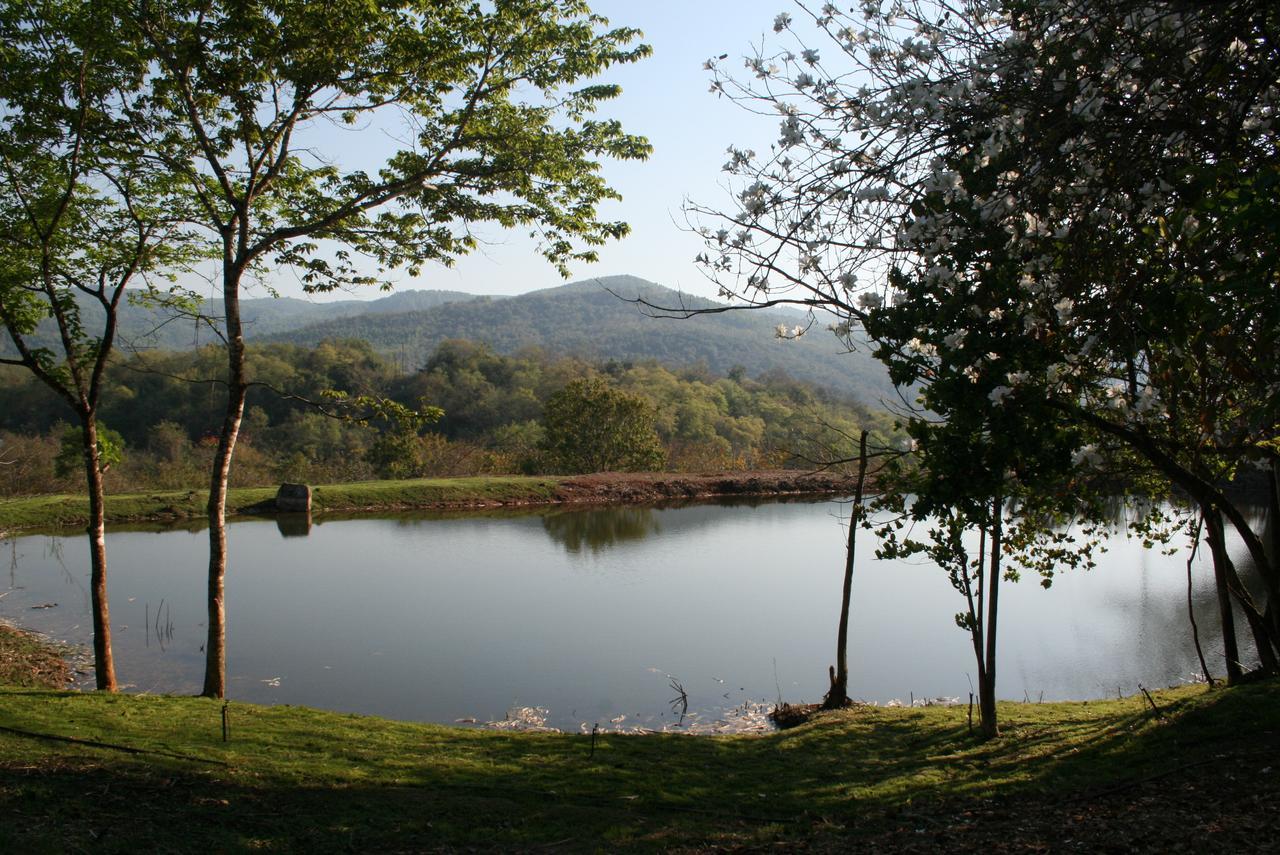 Mountain Creek Lodge เฮซีวิว ภายนอก รูปภาพ