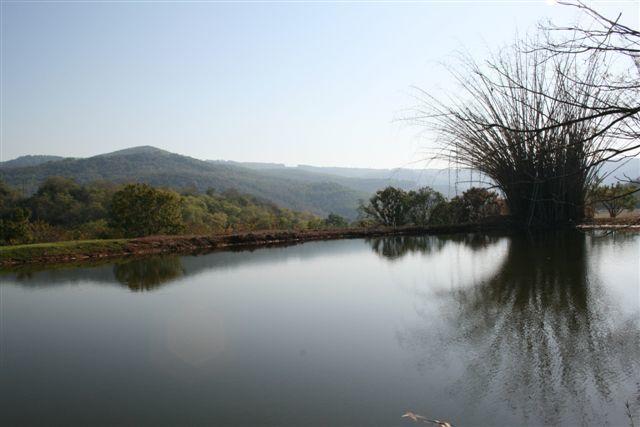 Mountain Creek Lodge เฮซีวิว ภายนอก รูปภาพ